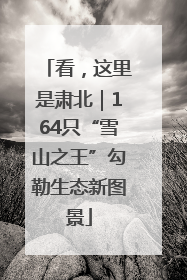 看，这里是肃北｜164只“雪山之王”勾勒生态新图景