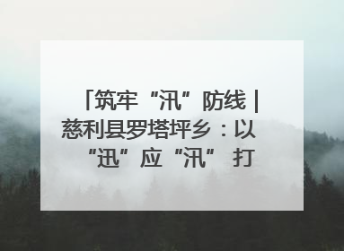 筑牢“汛”防线｜慈利县罗塔坪乡：以“迅”应“汛” 打赢暴雨防御战
