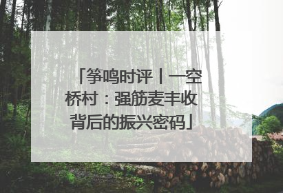 筝鸣时评丨一空桥村：强筋麦丰收背后的振兴密码
