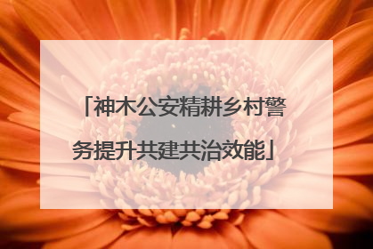 神木公安精耕乡村警务提升共建共治效能