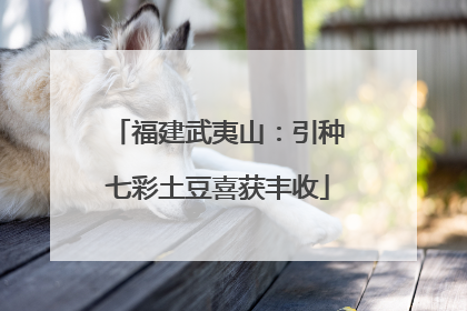 福建武夷山：引种七彩土豆喜获丰收