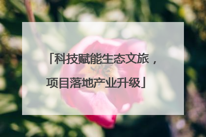 科技赋能生态文旅，项目落地产业升级
