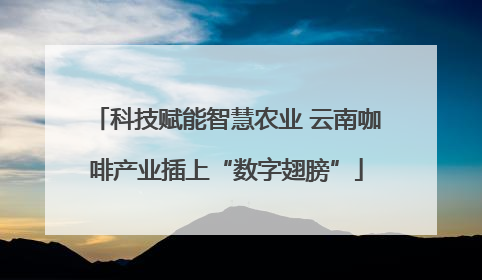科技赋能智慧农业 云南咖啡产业插上“数字翅膀”