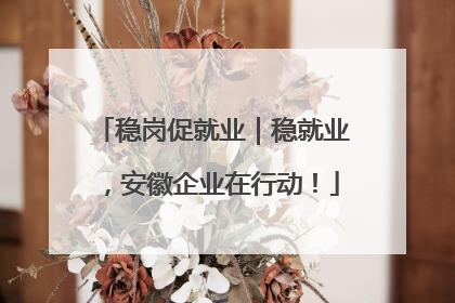 稳岗促就业｜稳就业，安徽企业在行动！