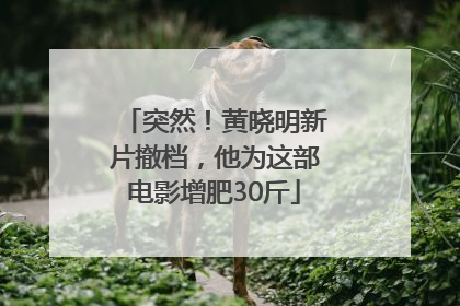 突然！黄晓明新片撤档，他为这部电影增肥30斤