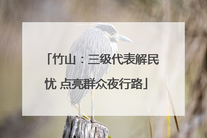 竹山：三级代表解民忧 点亮群众夜行路