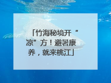 竹海秘境开“凉”方！避暑康养，就来桃江