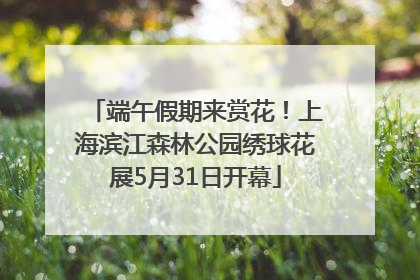 端午假期来赏花！上海滨江森林公园绣球花展5月31日开幕