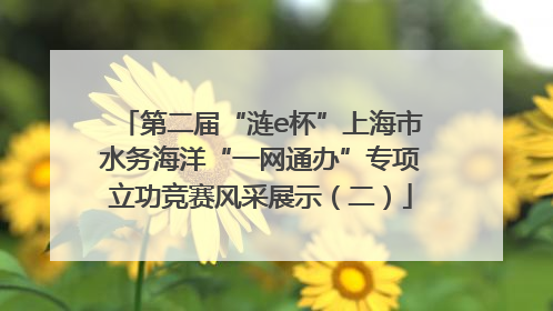 第二届“涟e杯”上海市水务海洋“一网通办”专项立功竞赛风采展示（二）