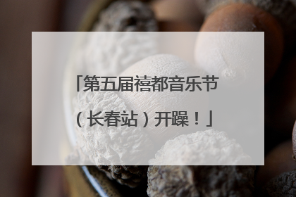 第五届禧都音乐节（长春站）开躁！