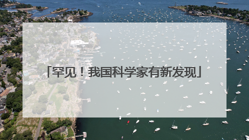 罕见！我国科学家有新发现