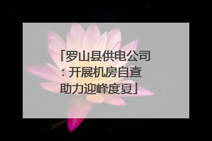 罗山县供电公司：开展机房自查 助力迎峰度夏