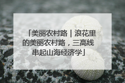 美丽农村路｜浪花里的美丽农村路，三高线串起山海经济学