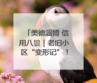 美德淄博 信用八景｜老旧小区“变形记”！诚信物业焐热居民心窝