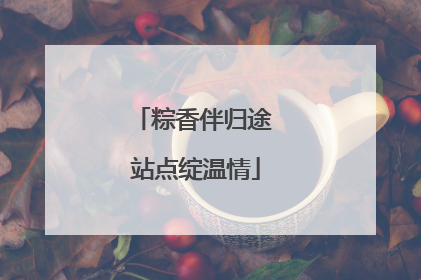 粽香伴归途 站点绽温情