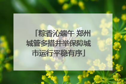 粽香沁端午 郑州城管多措并举保障城市运行平稳有序