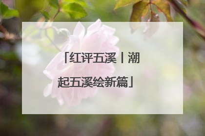 红评五溪丨潮起五溪绘新篇