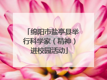 绵阳市盐亭县举行科学家（精神）进校园活动