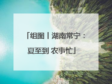 组图丨湖南常宁：夏至到 农事忙