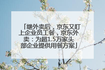 继外卖后，京东又盯上企业员工餐，京东外卖：为超1.5万家头部企业提供用餐方案