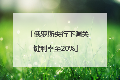 俄罗斯央行下调关键利率至20%