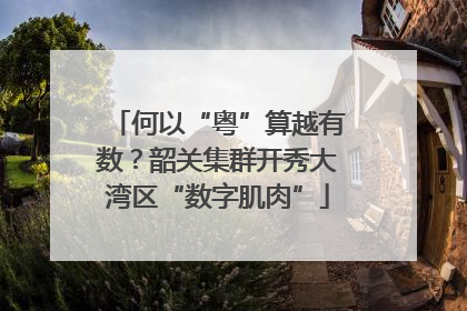 何以“粤”算越有数？韶关集群开秀大湾区“数字肌肉”