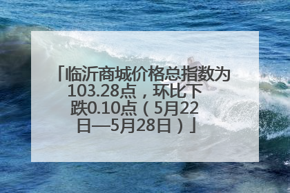 临沂商城价格总指数为103.28点，环比下跌0.10点（5月22日—5月28日）