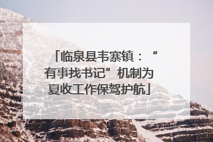 临泉县韦寨镇：“有事找书记”机制为夏收工作保驾护航