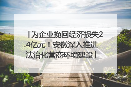 为企业挽回经济损失2.4亿元！安徽深入推进法治化营商环境建设