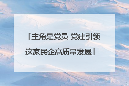 主角是党员 党建引领这家民企高质量发展