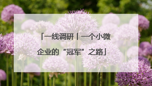 一线调研丨一个小微企业的“冠军”之路