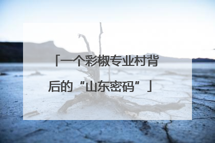 一个彩椒专业村背后的“山东密码”