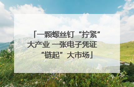 一颗螺丝钉“拧紧”大产业 一张电子凭证“链起”大市场