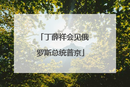 丁薛祥会见俄罗斯总统普京