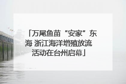 万尾鱼苗“安家”东海 浙江海洋增殖放流活动在台州启幕