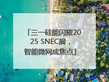 三一硅能闪耀2025 SNEC展，智能微网成焦点