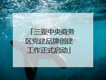 三亚中央商务区党建品牌创建工作正式启动