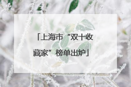上海市“双十收藏家”榜单出炉