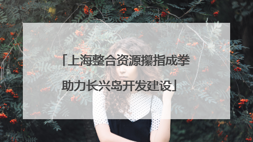 上海整合资源攥指成拳助力长兴岛开发建设