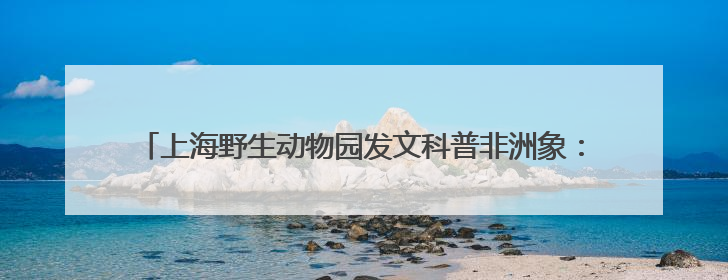 上海野生动物园发文科普非洲象：同一只非洲象长期被欺负消息不实