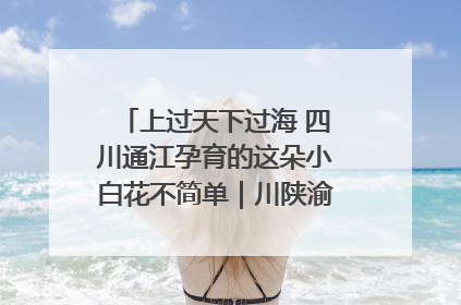 上过天下过海 四川通江孕育的这朵小白花不简单｜川陕渝网络名人巴中行