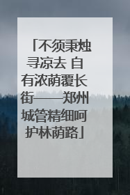 不须秉烛寻凉去 自有浓荫覆长街——郑州城管精细呵护林荫路