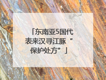 东南亚5国代表来汉寻江豚“保护处方”