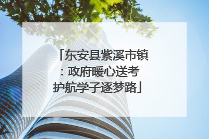 东安县紫溪市镇：政府暖心送考 护航学子逐梦路