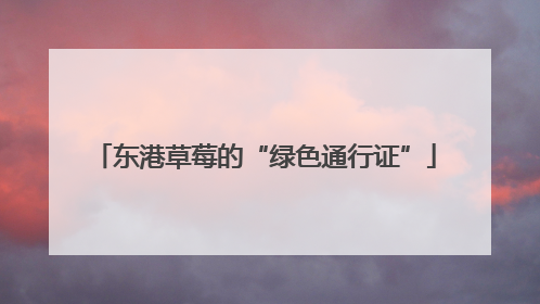 东港草莓的“绿色通行证”