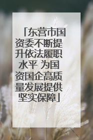 东营市国资委不断提升依法履职水平 为国资国企高质量发展提供坚实保障