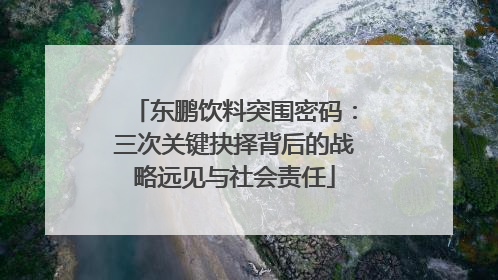 东鹏饮料突围密码：三次关键抉择背后的战略远见与社会责任