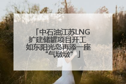 中石油江苏LNG扩建储罐项目开工 如东阳光岛再添一座“气墩墩”