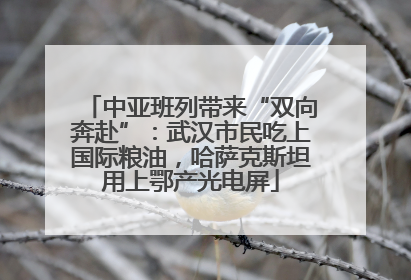 中亚班列带来“双向奔赴”：武汉市民吃上国际粮油，哈萨克斯坦用上鄂产光电屏