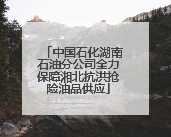 中国石化湖南石油分公司全力保障湘北抗洪抢险油品供应